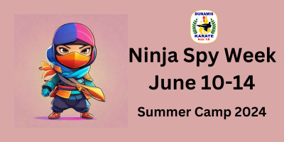 Ninja Spy Week-2.png